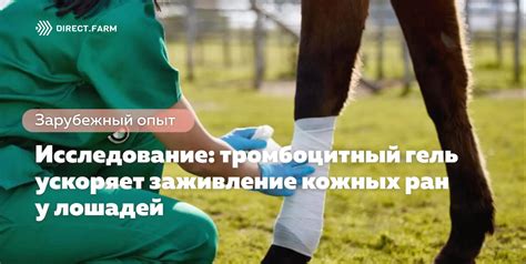 Исследование влияния наличия крыльев у лошадей