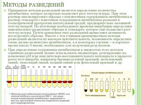 Исследование микробиологической чувствительности