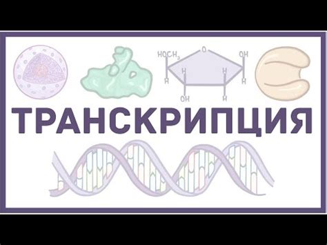 Истинное предназначение инцистирования в биологии