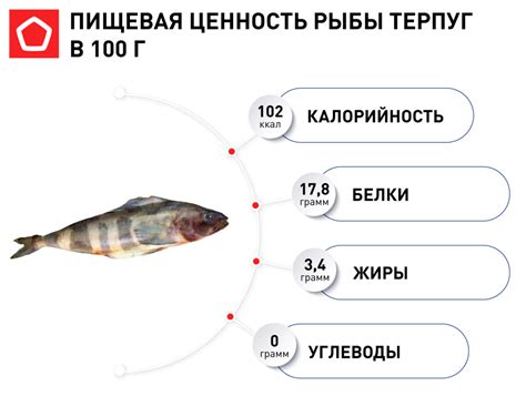 Историческая ценность рыбы терпуг: от рыболовства до стола