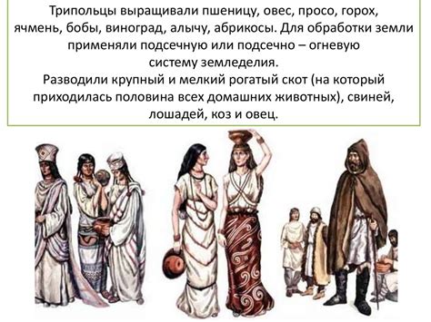 Исторические корни всадника