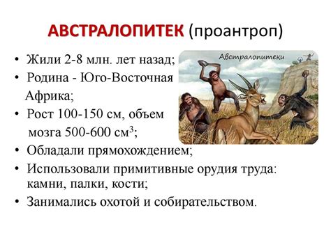 Историческое развитие и происхождение федерации