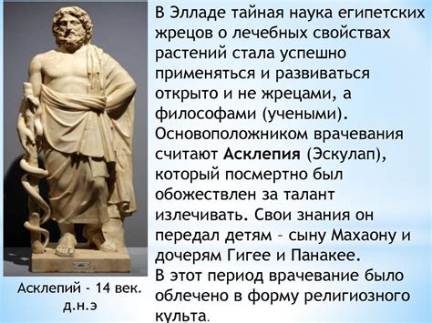 История использования растения