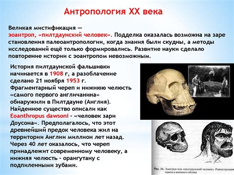 История и значение антропологии