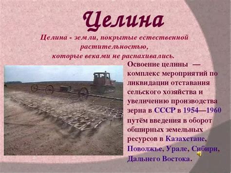 История освоения целины