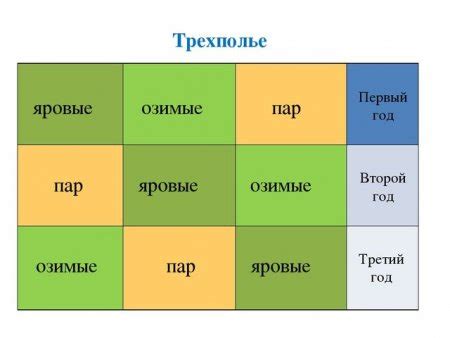 История 6 класс: понятие двуполье