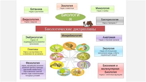 Источники исследования биологической природы человека