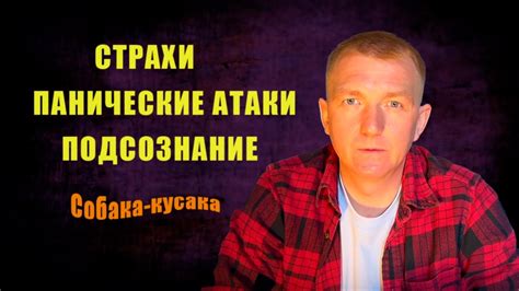 Источники страхов