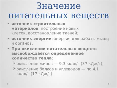 Источник питательных веществ и энергии