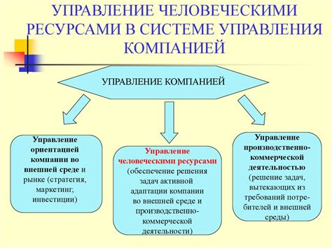 Кадровый отдел: звено между компанией и человеческими ресурсами