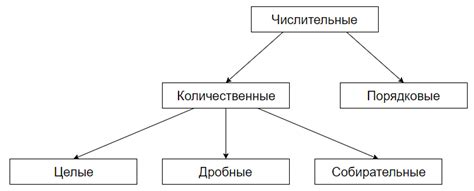 Какие виды числительных существуют