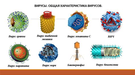 Какие вирусы предотвращаются?