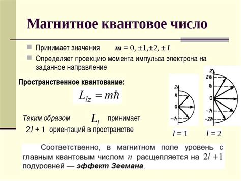 Какие значения имеют числа на масле и как их расшифровать