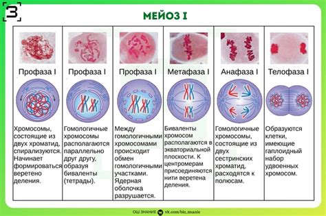 Какие изменения происходят