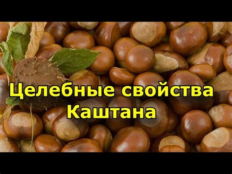 Какие оттенки каштана можно назвать темными?