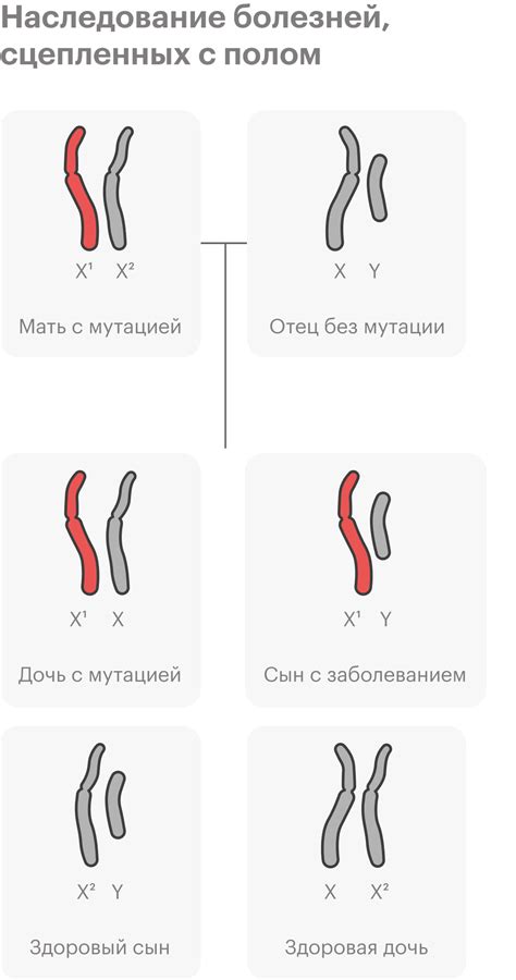 Какие последствия возникают у человека с 44 хромосомами?