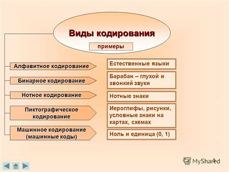 Какие преимущества имеет данное пособие?