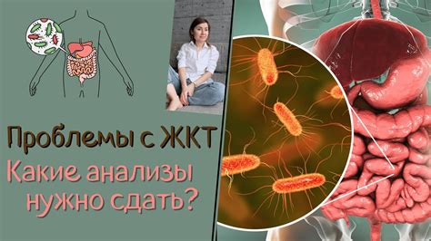 Какие продукты полезны при проблемах с желудочно-кишечным трактом