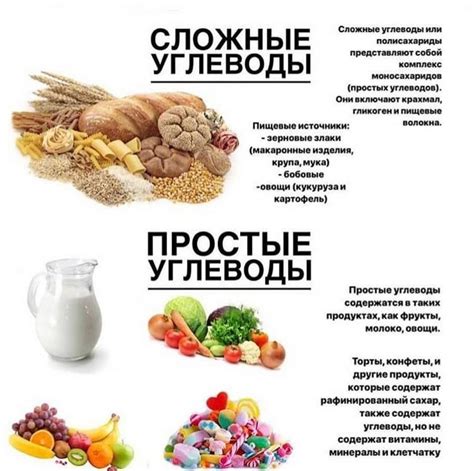 Какие продукты содержат белки, жиры и углеводы: полезные свойства