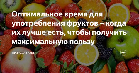 Какие противопоказания имеются для употребления фруктов и овощей после прививки?