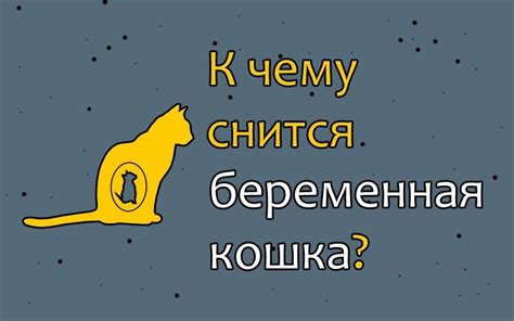 Какие тайные значения может нести сон о черной кошке?