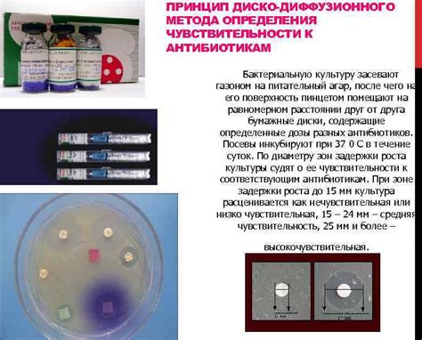 Какие факторы влияют на чувствительность микроорганизмов к антибиотикам?