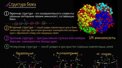 Какова структура пенья