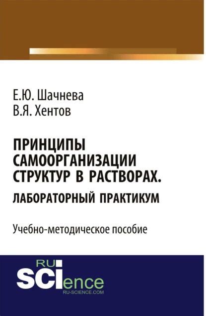 Каковы основные принципы самоорганизации