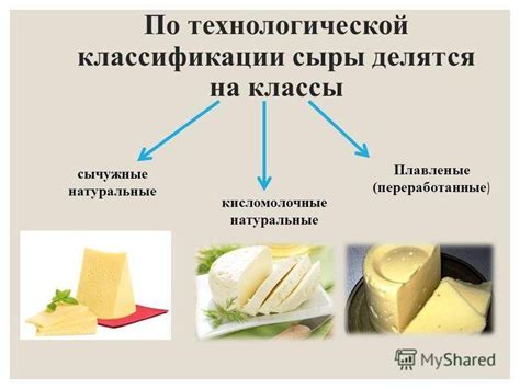 Каковы основные составляющие сыра?