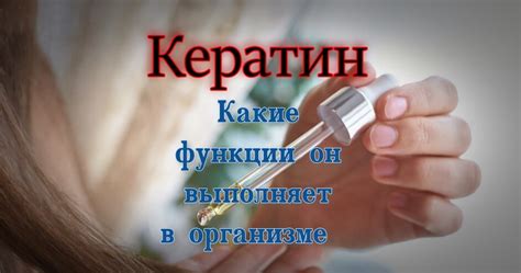 Каковы основные функции кератина в организме человека?