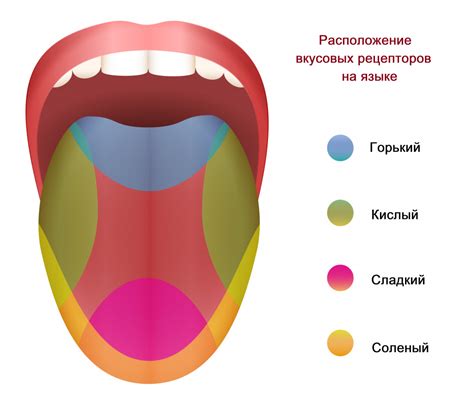 Какой вкус предпочитают новорожденные