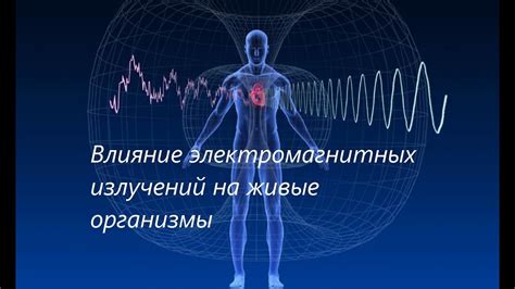 Как влияет электромагнитное поле на живые организмы?