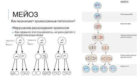 Как возникают генетические изменения, связанные с недостатком хромосом