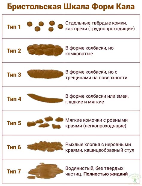 Как восстановить нормальный стул