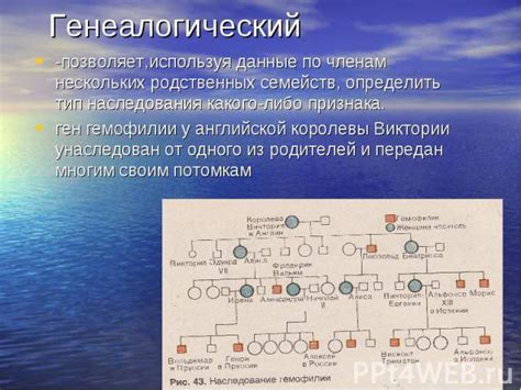 Как генотип gg может быть унаследован и передан потомкам