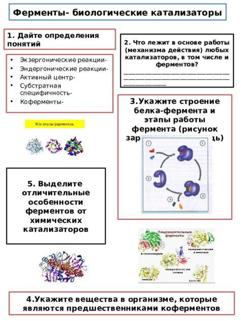 Как действуют катализаторы на биологические реакции