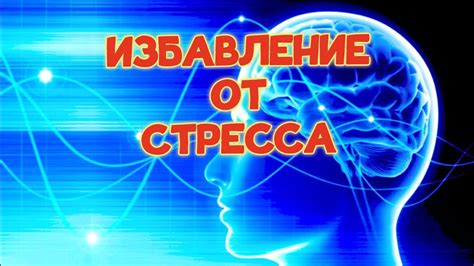 Как избавить Варвару от нервного стресса