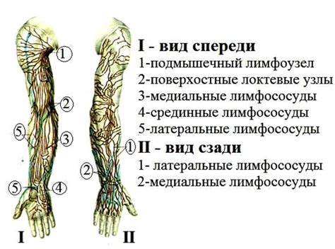 Как избежать воспаления лимфоузлов на руке?