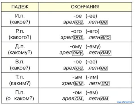 Как изменяется прилагательное?