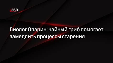 Как использование антиокислителя помогает замедлить окисление?