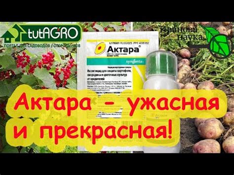 Как использовать актару для защиты плодовых деревьев