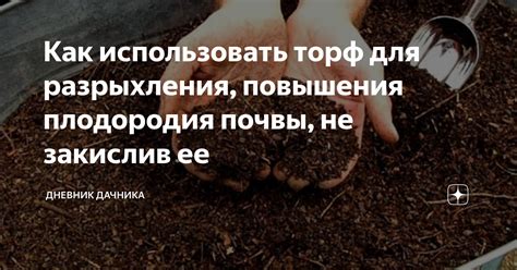 Как использовать гумус для повышения плодородия почвы