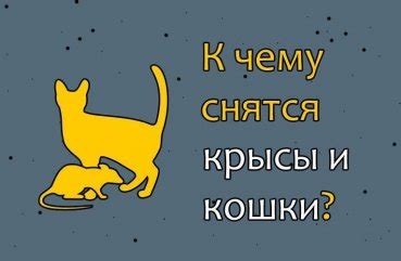 Как использовать значения снов о крысах и кошках для личного роста