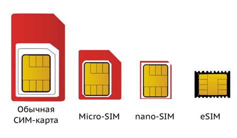 Как использовать нано SIM-карту в телефоне?