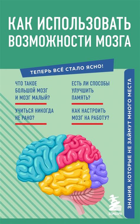 Как использовать научные знания для повышения эффективности мозга ночью