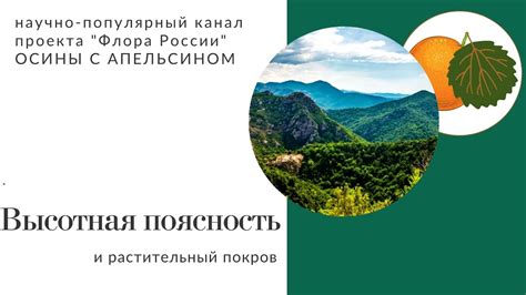 Как использовать сон о подъеме в гору для личностного развития?