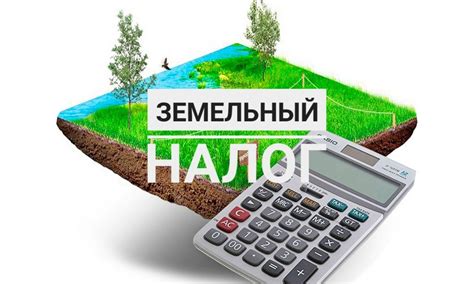 Как можно использовать ставки земельного налога для развития региона?