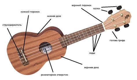 Как научиться играть на укулеле: основные правила