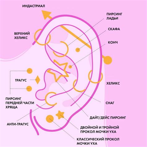 Как не допустить торчание ушей: практичные рекомендации