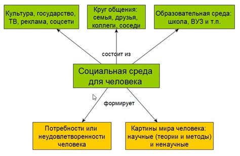 Как новая среда может влиять на питомца